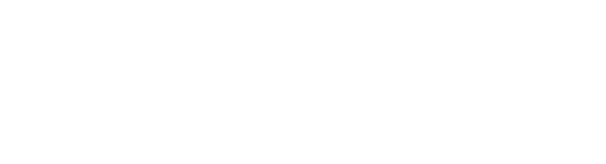 Yorkie Nest